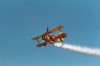 Wingwalker